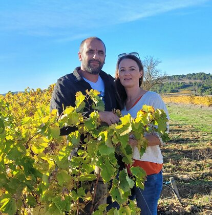 Frankrijk-Vignoble-Puy